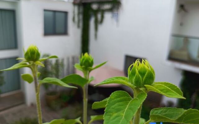 Po return. Slow talk