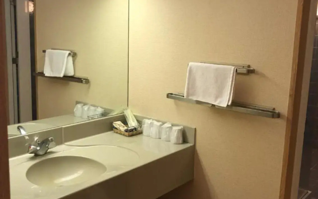 Hotel Civic Inn Sayama