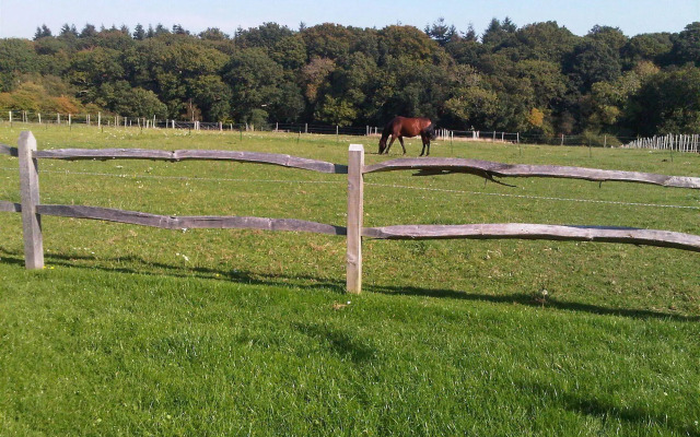 The Old Dairy Farm