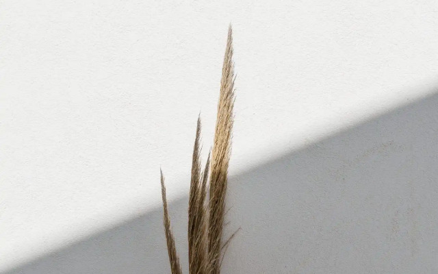 Poema Antiparos