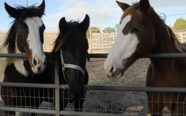 Whisper's Ranch B & B