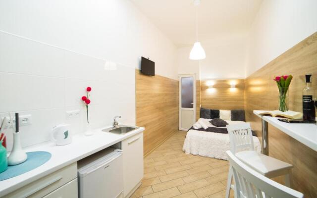 Mini Economy apartments- Filatova 10