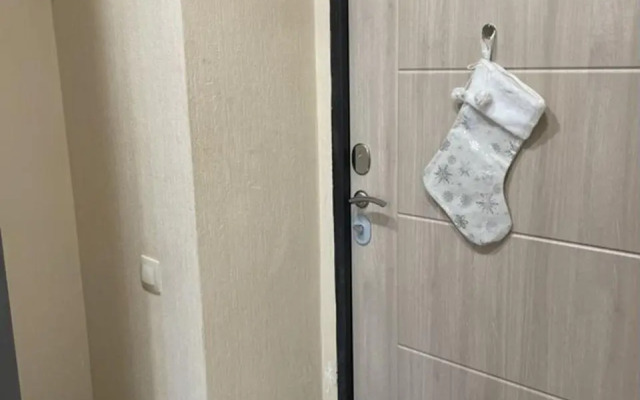 Апартаменты на проспекте Красный 305