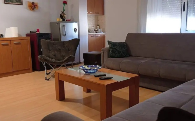 Lovely 1 1 Rental Ap In Myslym Shyri Tirana