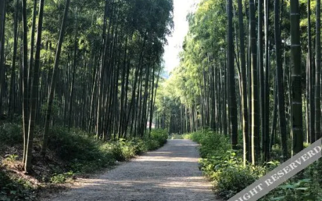 Yingwuxin Boutique Hostel Mount Mogan