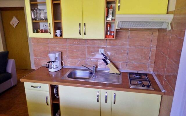 Apartments in Jasenice 41709