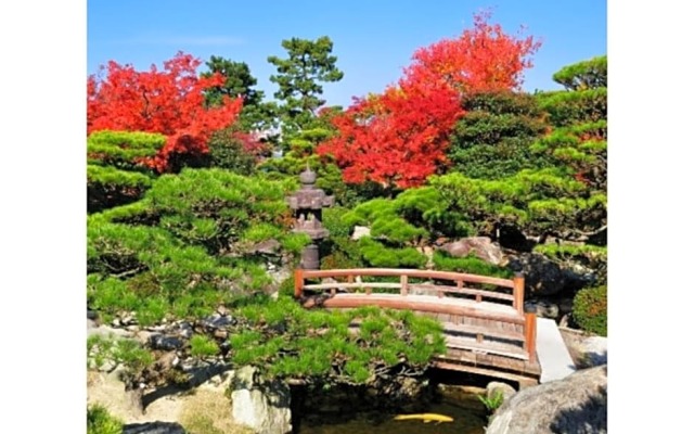 Hotel Halrotto Fukuoka Hakata - Vacation STAY 04192v