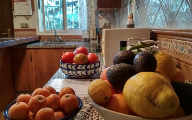 Villa Las Encinas COSTA DEL SOL