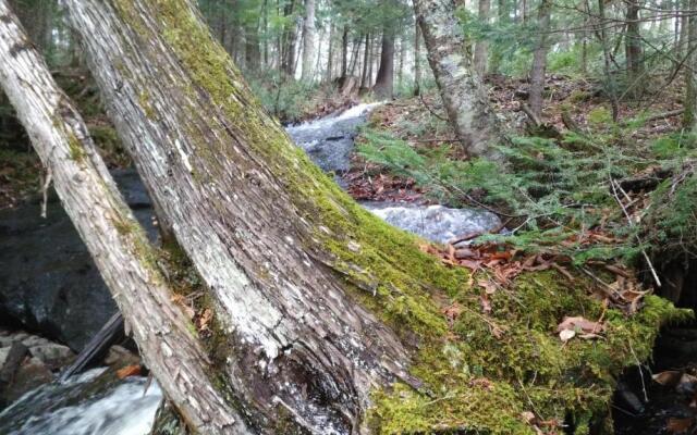 Hébergement de la Montagne St-Roch