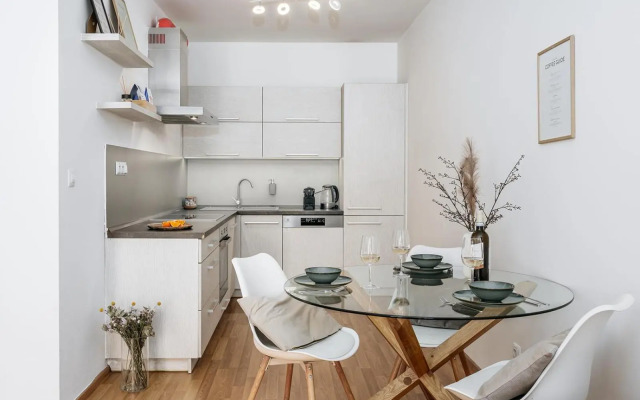 Bright Apartment in Nusle by Prague Days