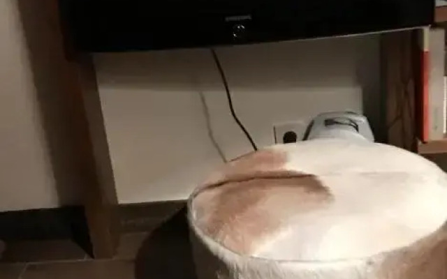 Wachtelhof Apartment