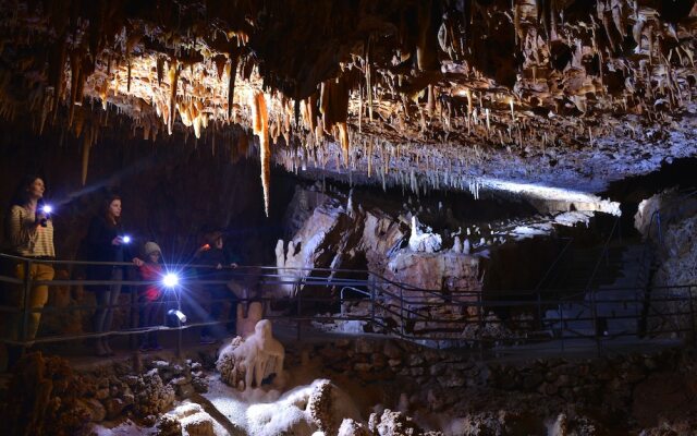 Aven Grotte Forestière