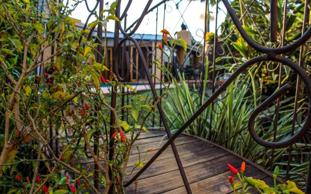 Damicha Boutique Lodge