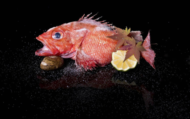 The St. Regis on the Bund, Shanghai