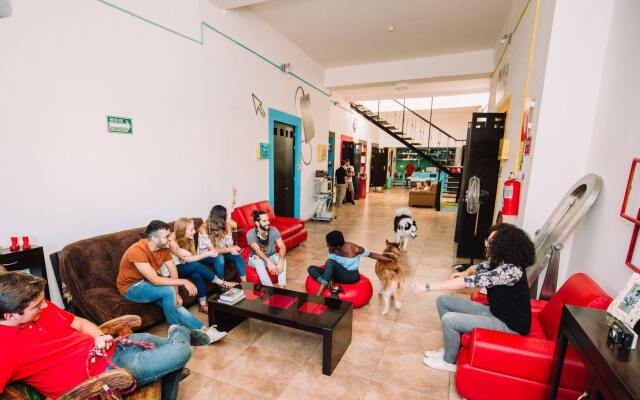 Hostal El Armario - Hostel