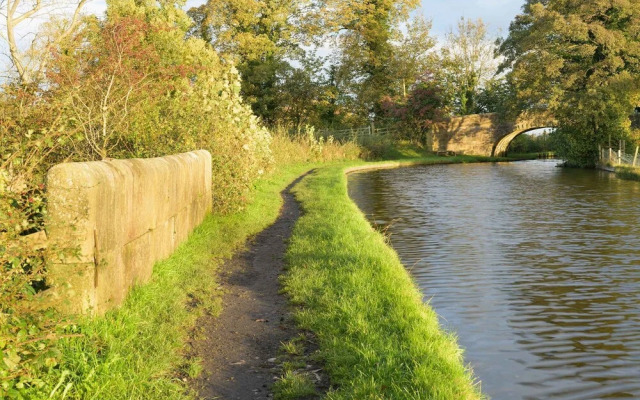 Orchard Glamping - Apartment Pod - Blossom