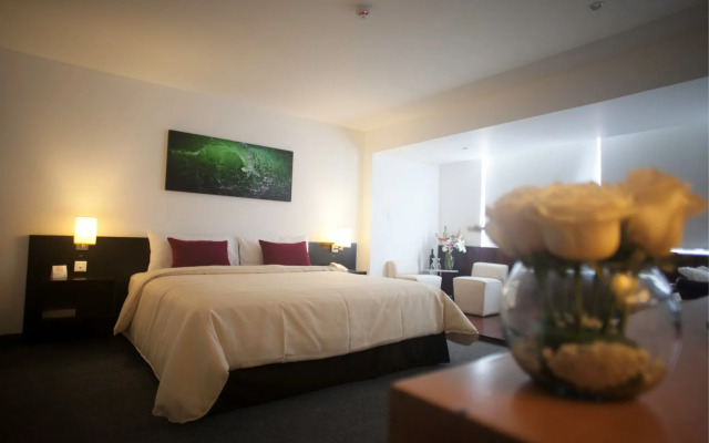 Palmetto Hotel Business San Borja