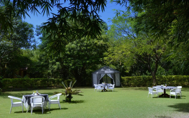 Pench Jungle Camp