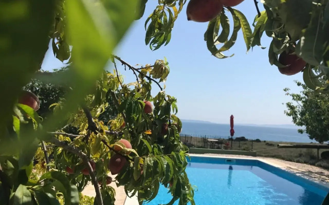 Holiday Home Oleja