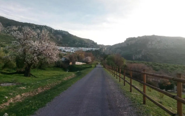 El Hechizo Del Bailón