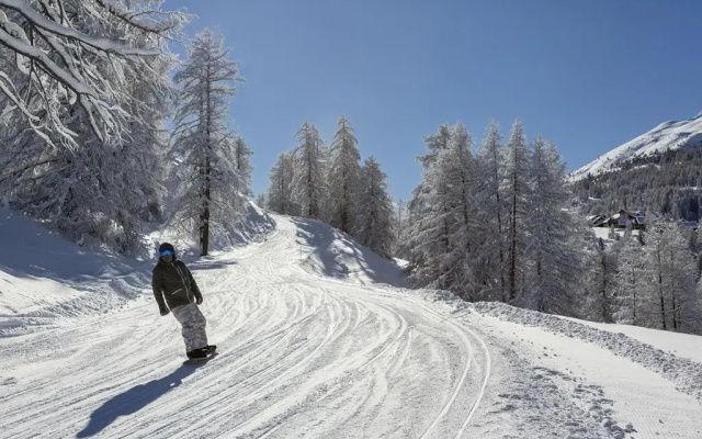 SOWELL HÔTELS L'Alpe Blanche