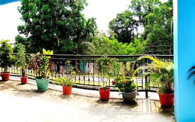 The GUEST LODGE PALAU