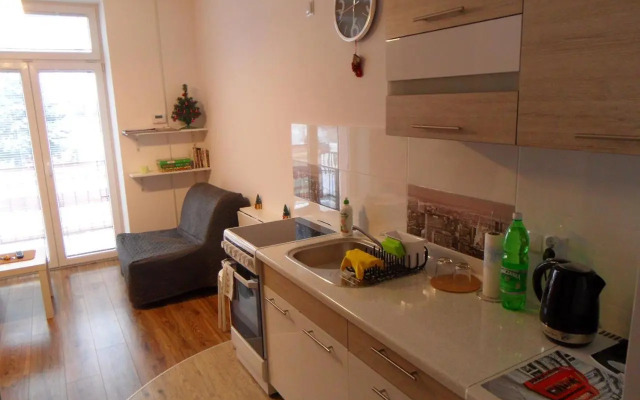 Apartament Kraszewskiego