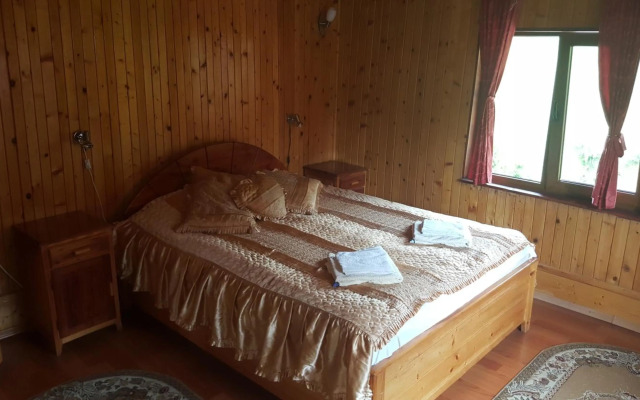 Pensiunea Dealul Frumos