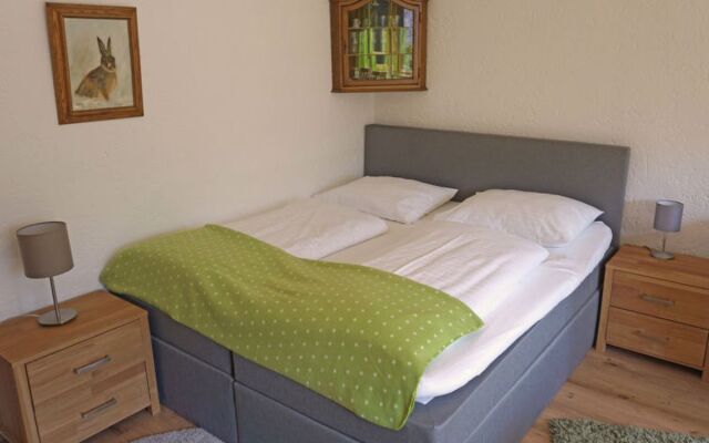 Birkenwald 25546