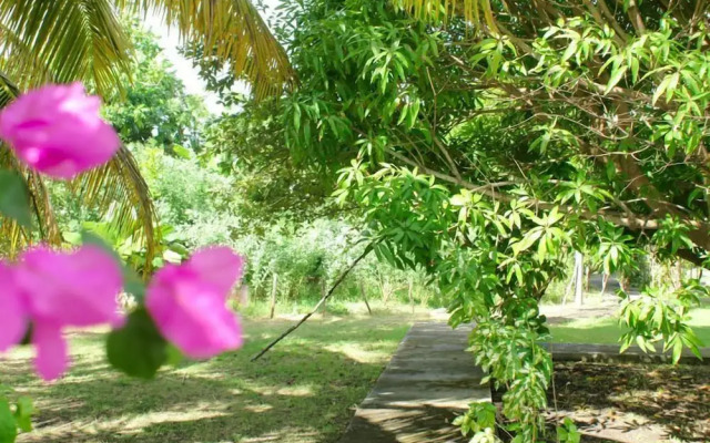 Au Jardin Debeauséjour