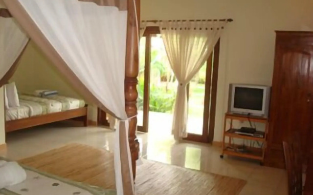 Pazzo Bali