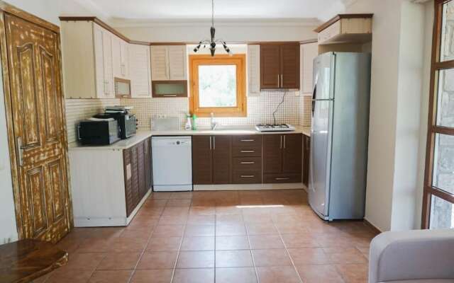 BO074 by Villaofsummer