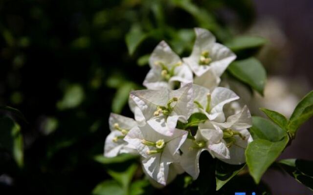 Luyangtree· RAN hotel