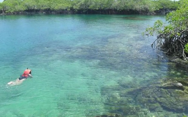 Hostal Las Gardenias