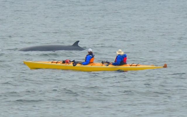 B&B Baie du Soleil Couchant
