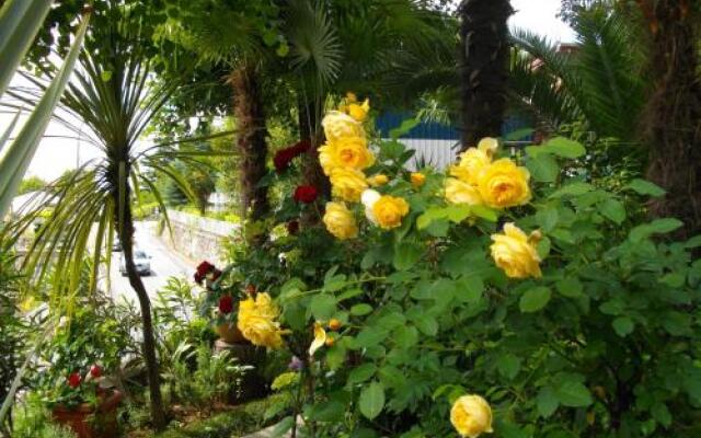 Apartmani Nives