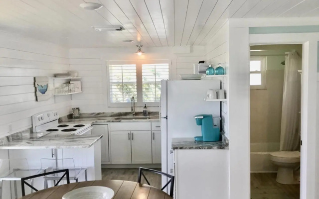 AMI Sand Dollar - 6403 B Holmes