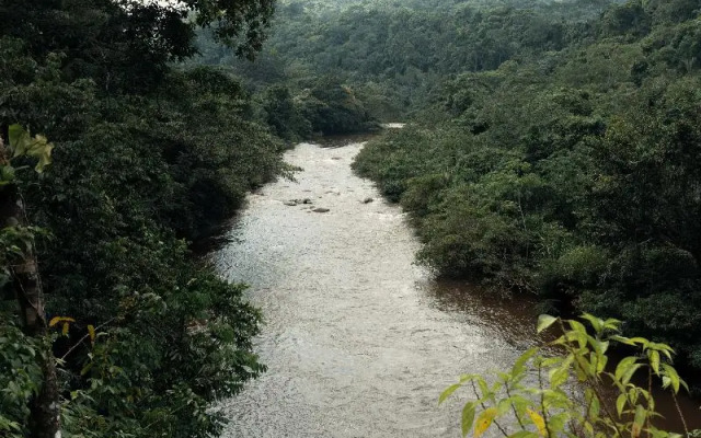 One Santuario Natural