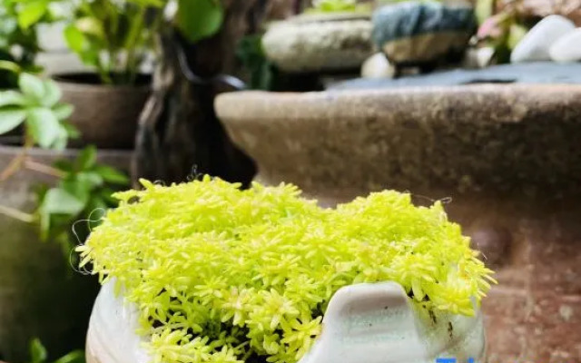 Yinghuige Boutique Inn