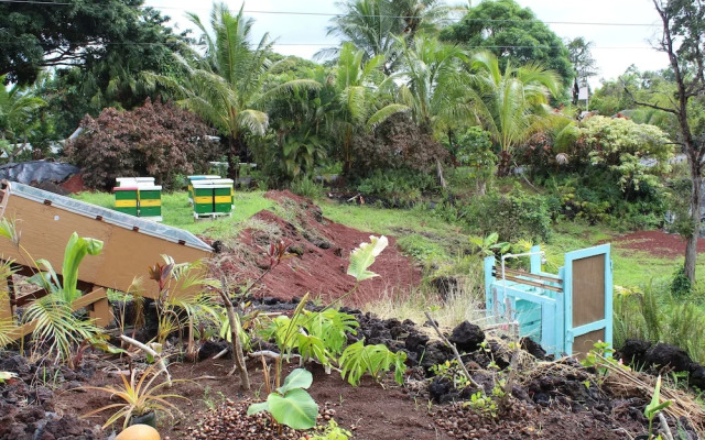 Sweet Spot Stay - Tikis and Treetops