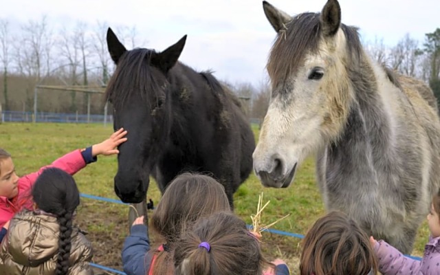 La petite ferme de Pouillon - Parc animalier - aire de loisirs