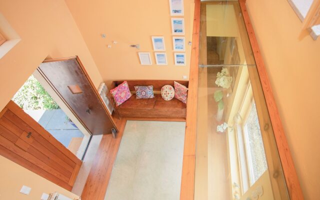 Local 9 - Casa do chapim azul