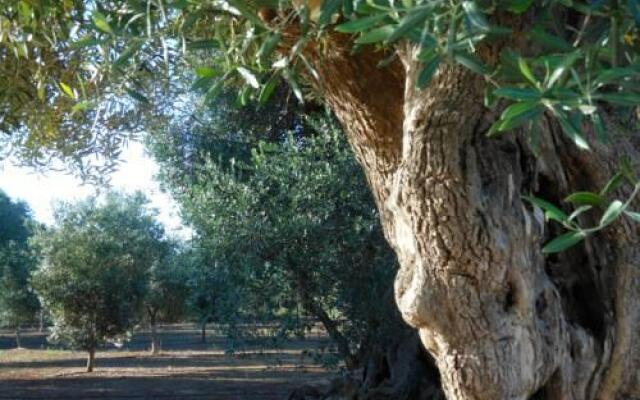 L'Ulivo Bed and Breakfast