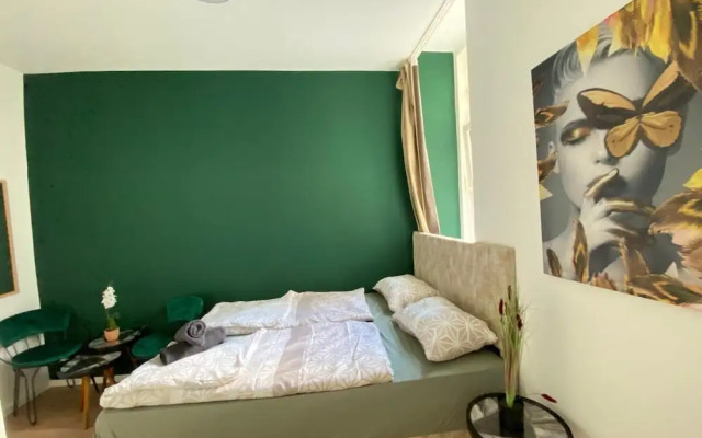 8 Studios with Terrace in Margareten