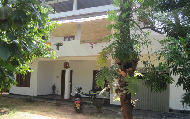 Jungleside House