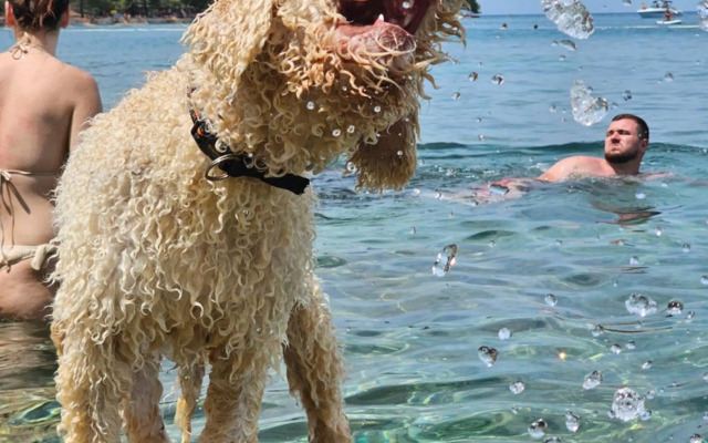 Vila Tena Rovinj Croatia