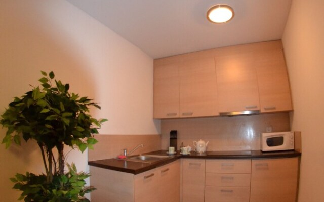 Apartament City Center Exclusive Suite