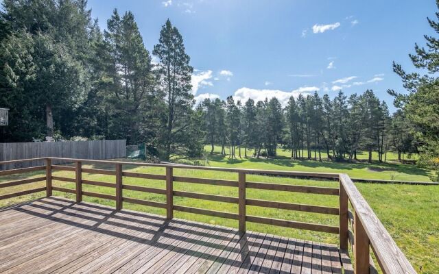 Manzanita Jewel MCA 619