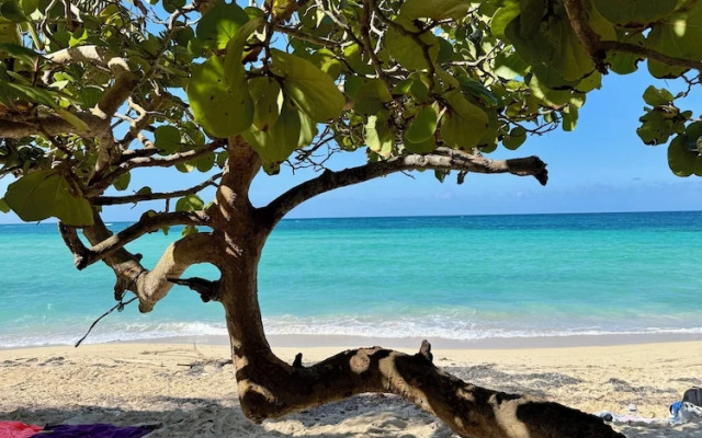 Roatan Infinity Pool & Ocean View