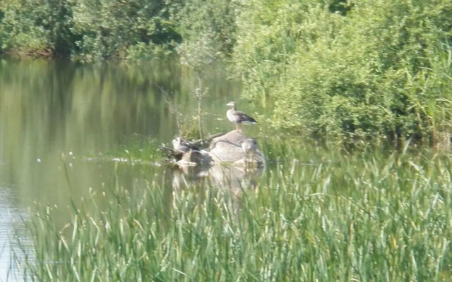 Pleasant Holiday Home Near Town Center